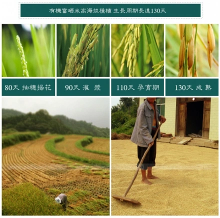 富硒大米生产厂商