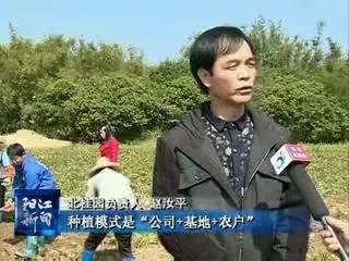 富硒大米蒸熟后粘