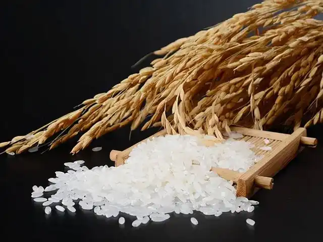 营口富硒大米厂家