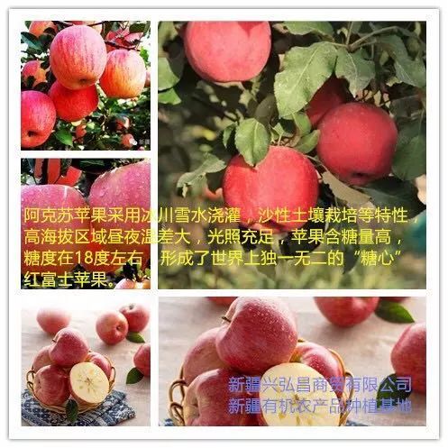 新疆产富硒大米吗