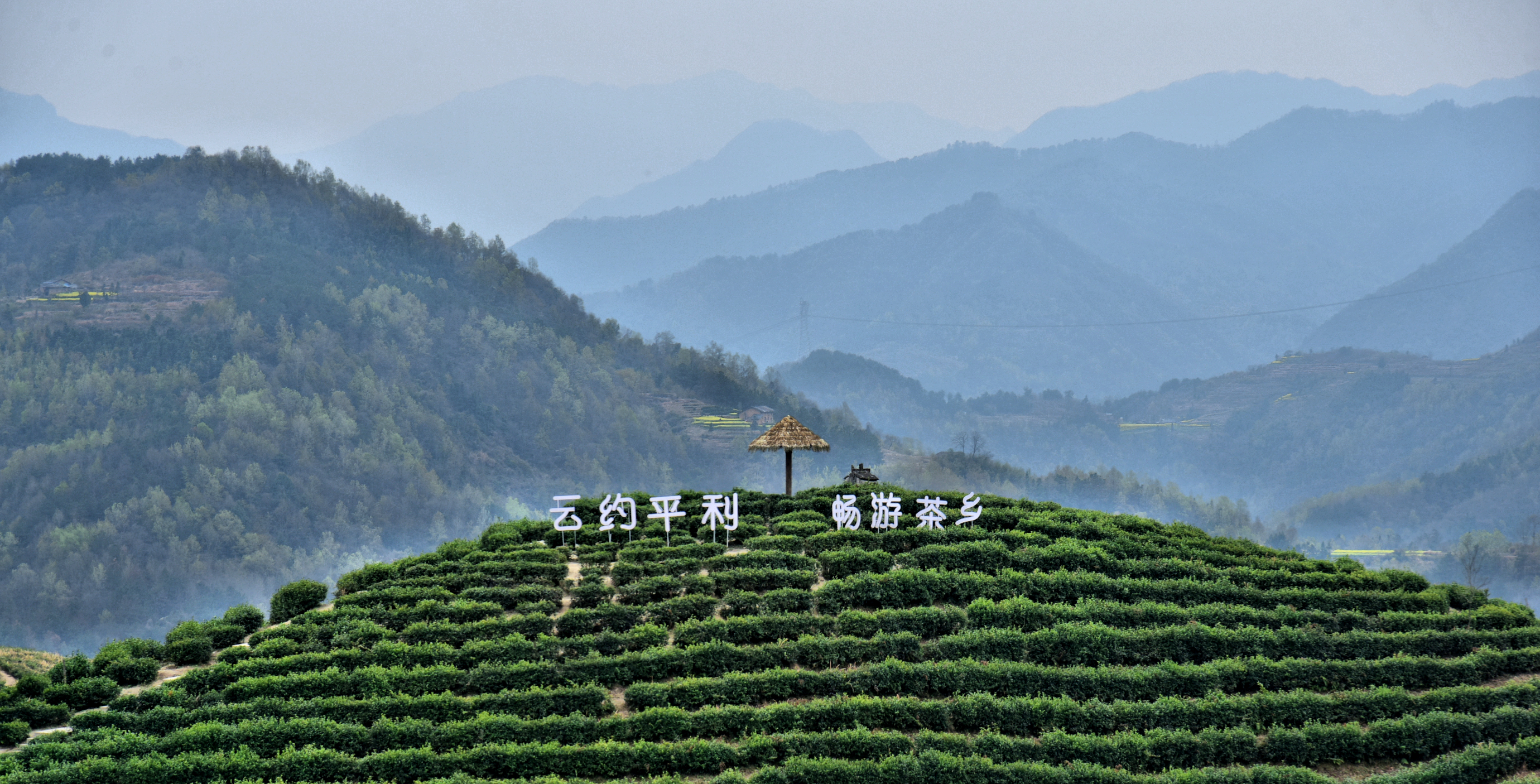 江门恒江富硒大米