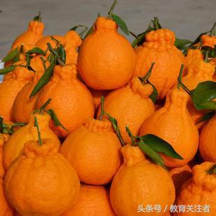郑州富硒大米厂家