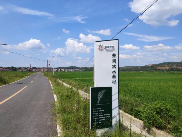 江西吉安富硒大米