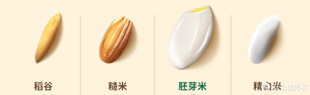 什么叫富硒大米啊