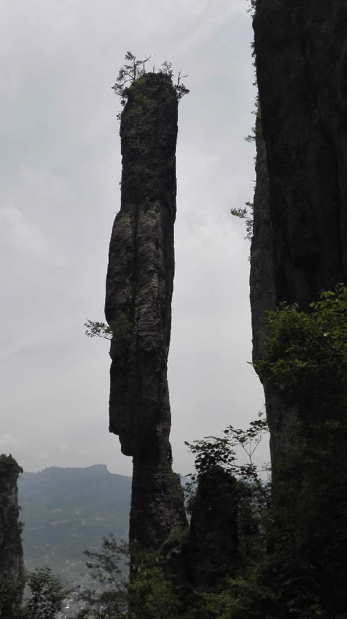 富硒大米是绿色吗