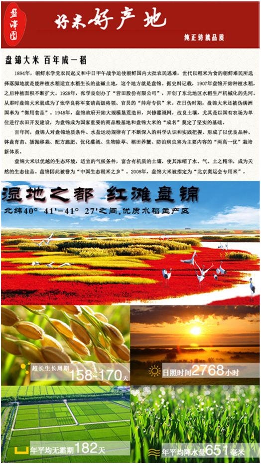 烟台富硒大米厂家