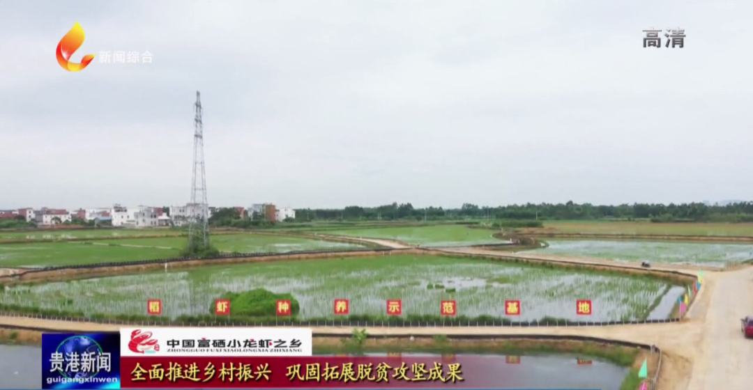 中国大米富硒之乡