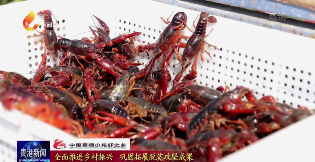 中国大米富硒之乡