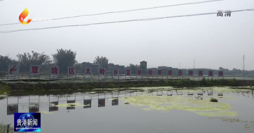 中国大米富硒之乡