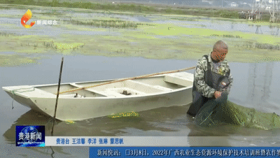 中国大米富硒之乡