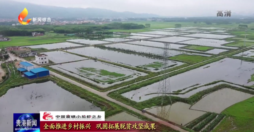 中国大米富硒之乡