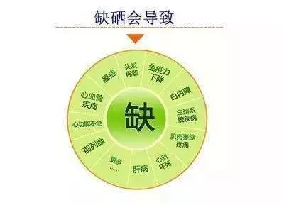 富硒大米可以吃吗