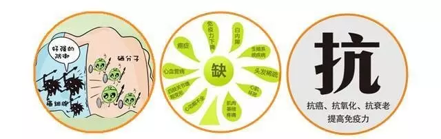富硒大米可以吃吗