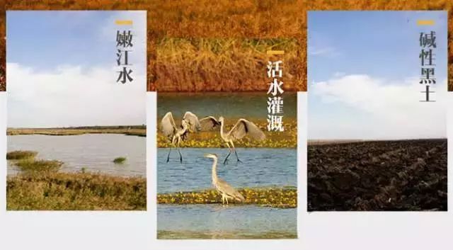 中国大米富硒之乡