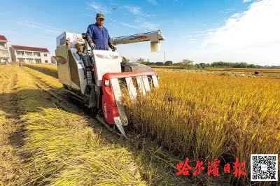 秋然方正富硒大米