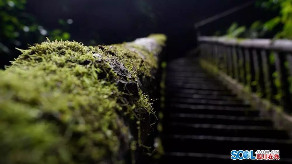 僰王山 富硒大米