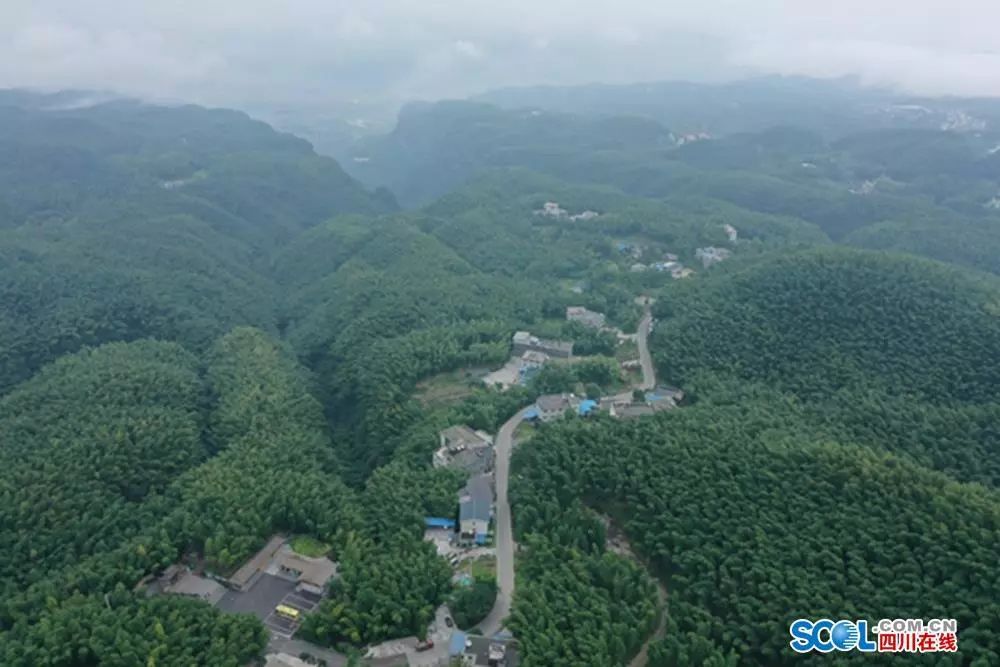 僰王山 富硒大米