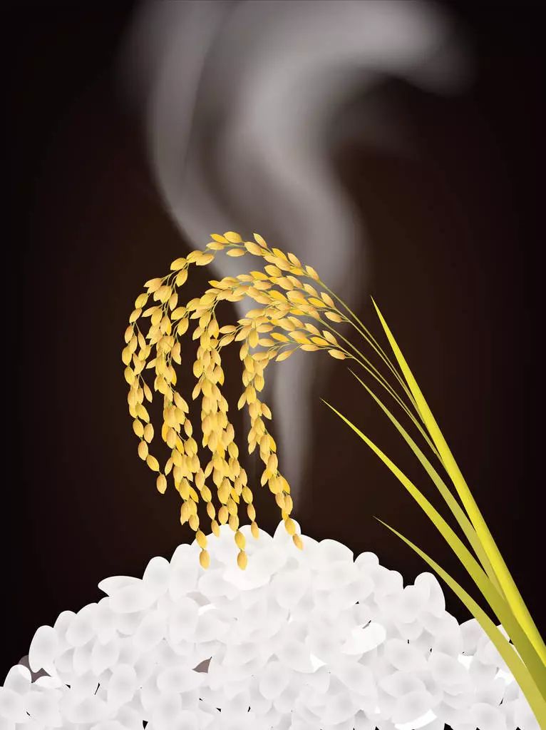 景阳高价富硒大米