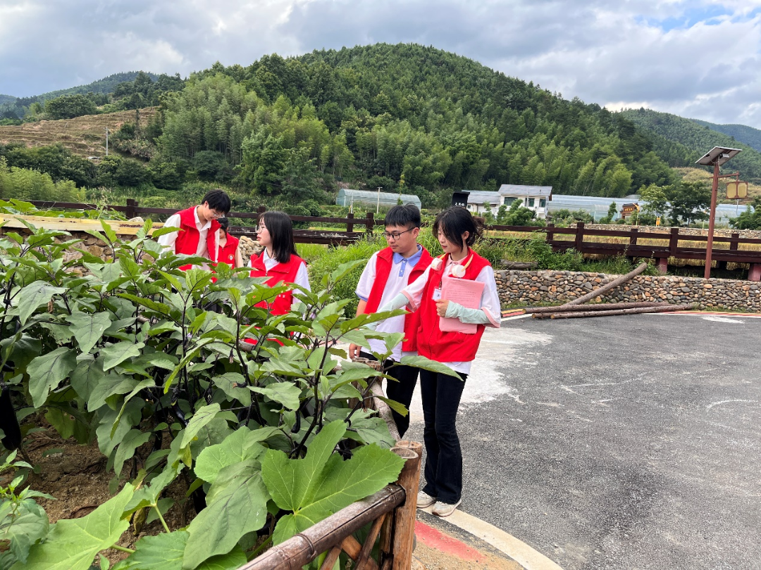 上堡梯田富硒大米