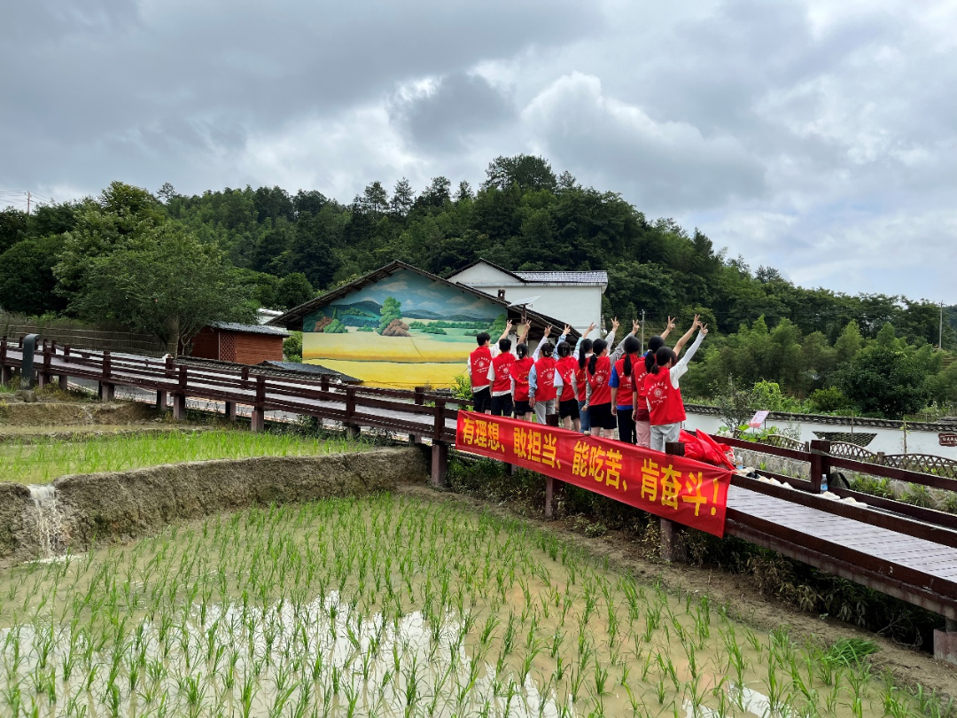 上堡梯田富硒大米