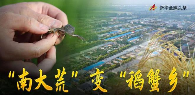 茗越家乡富硒大米