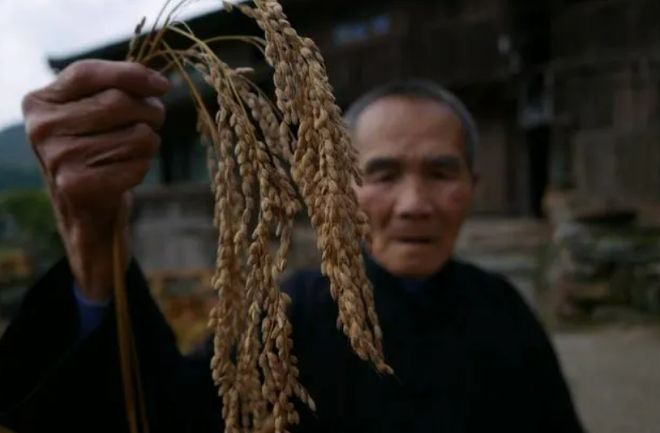 富硒大米和食用油