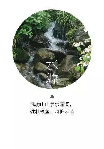吉内得富硒大米5