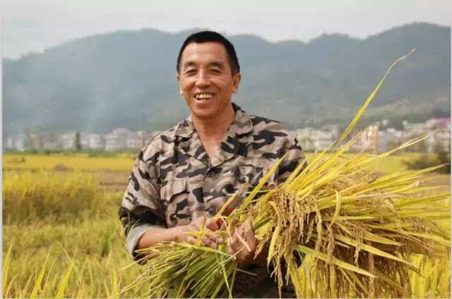 吉内得富硒大米5