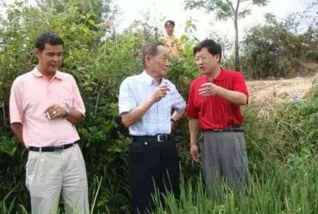 吉内得富硒大米5