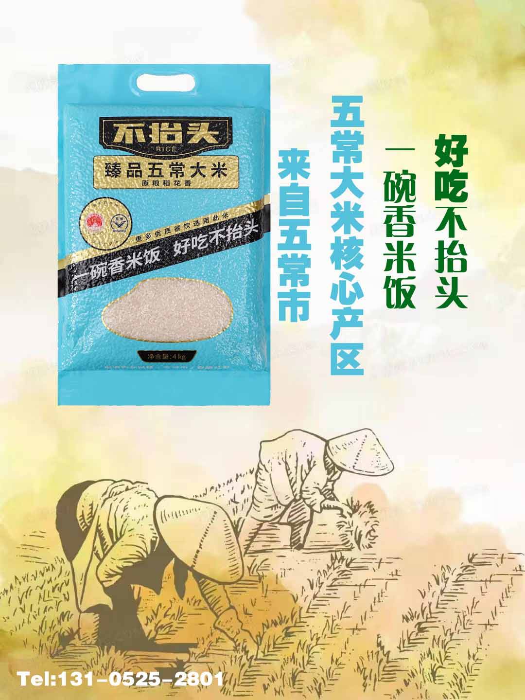 景阳富硒大米知乎