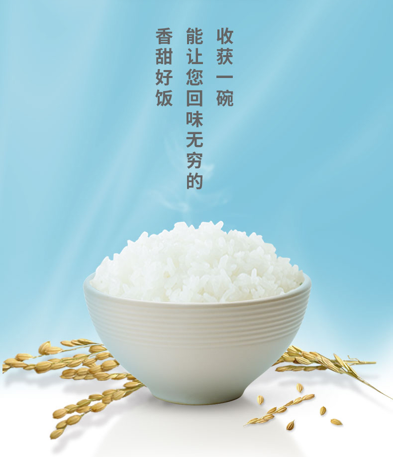 景阳富硒大米知乎
