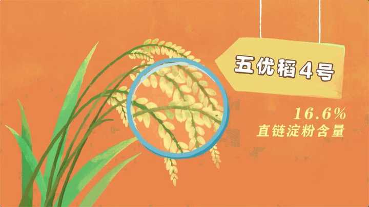 富硒大米如何做的