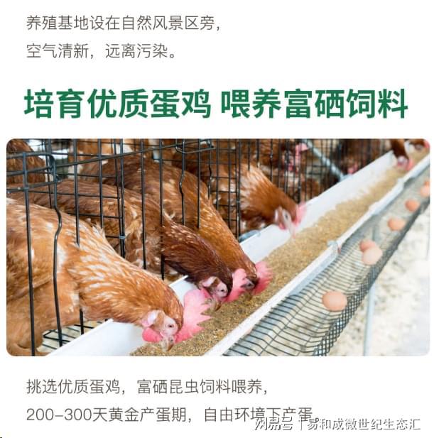 富硒大米抗氧化性