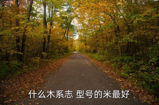 什么木系志 型号的米最好