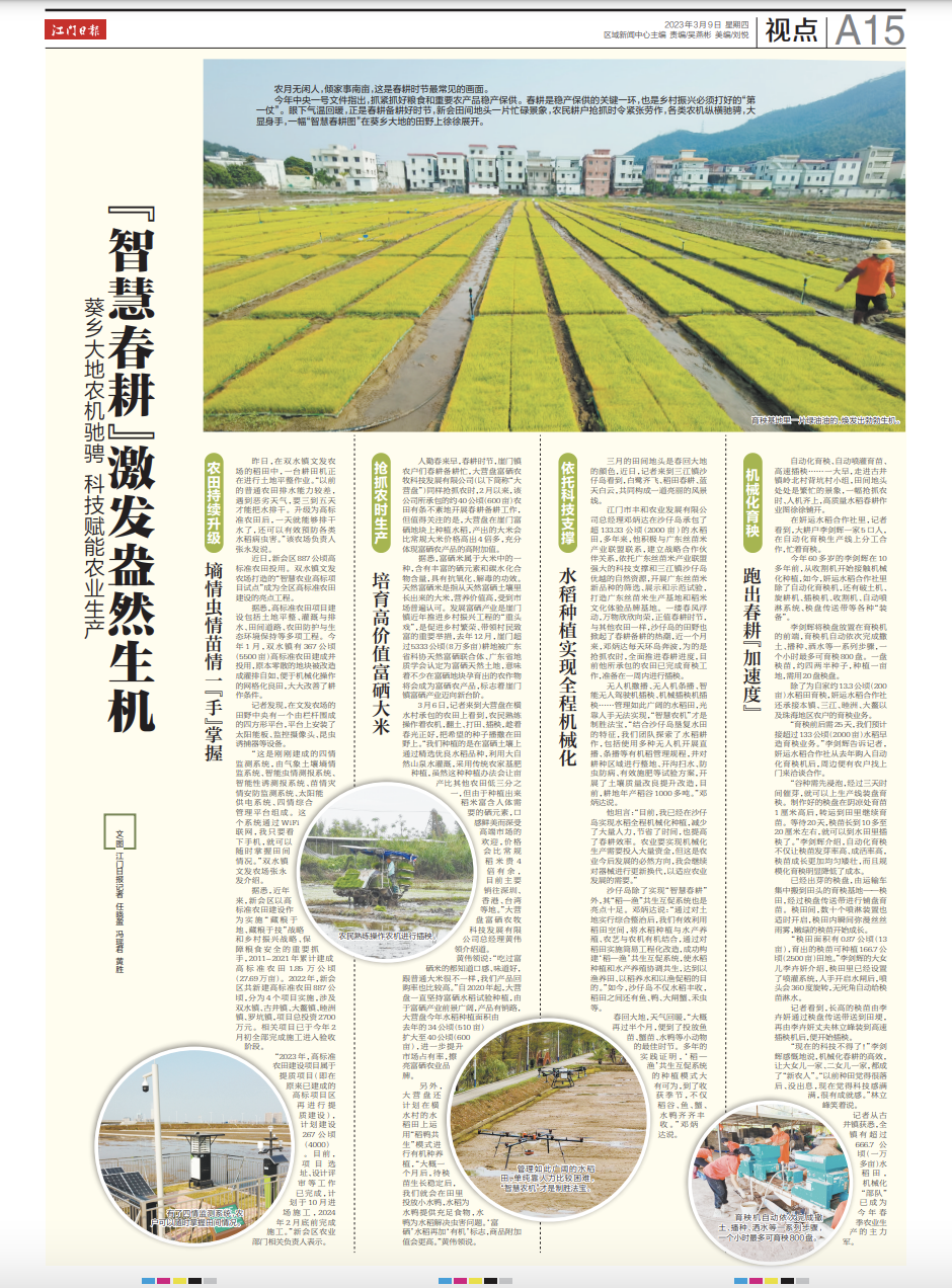 富硒大米1厘米长