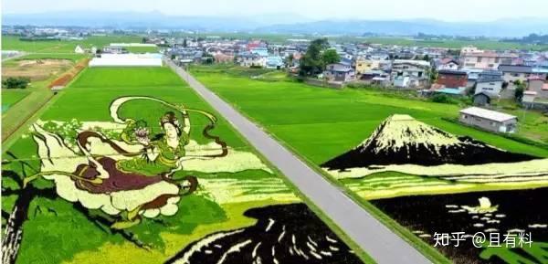 一生有李富硒大米