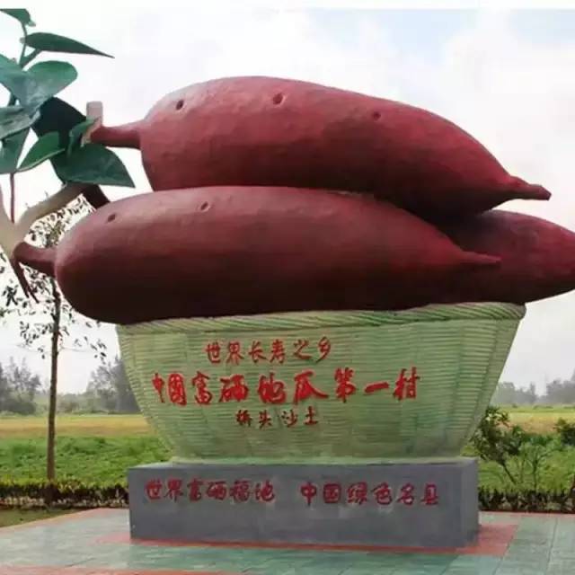 桥头富硒地瓜品种