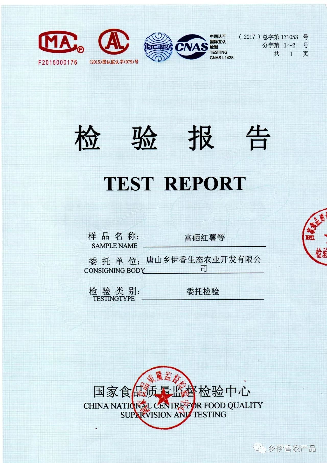 富硒地瓜最新价格