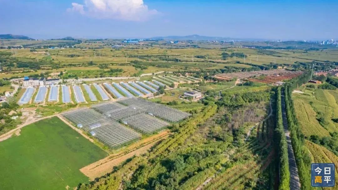 富硒地瓜种植历史