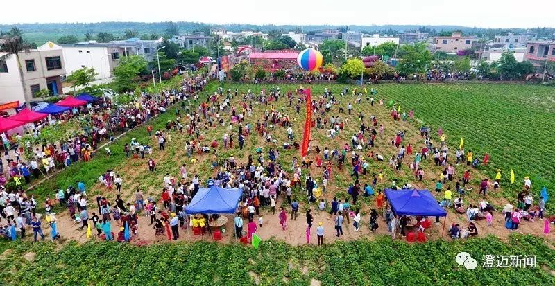 南昌桥头富硒地瓜