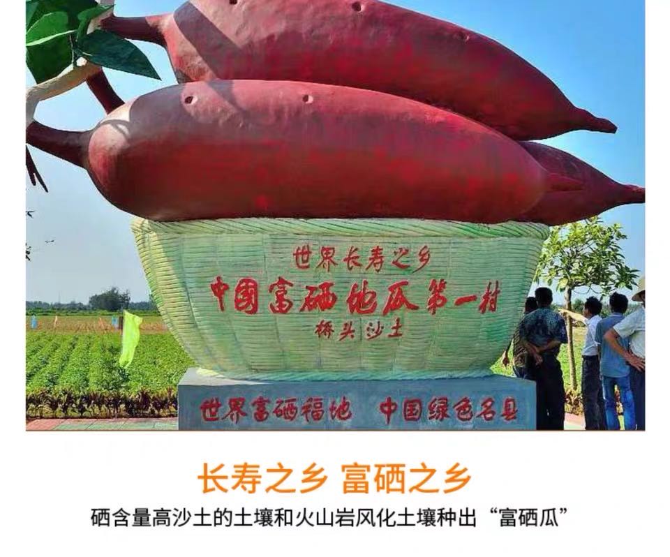 海南富硒地瓜地址