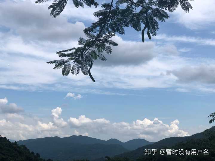海南富硒姑娘地瓜