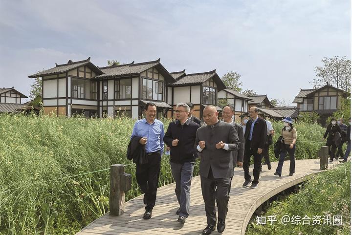 海南富硒地瓜介绍
