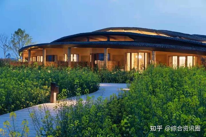 海南富硒地瓜介绍