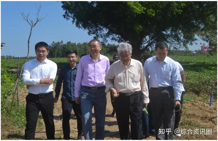 海南富硒地瓜介绍