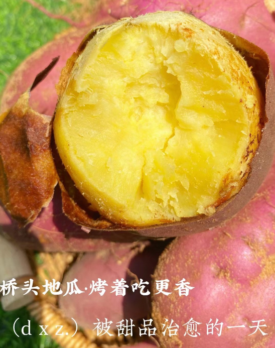 北京桥头富硒地瓜