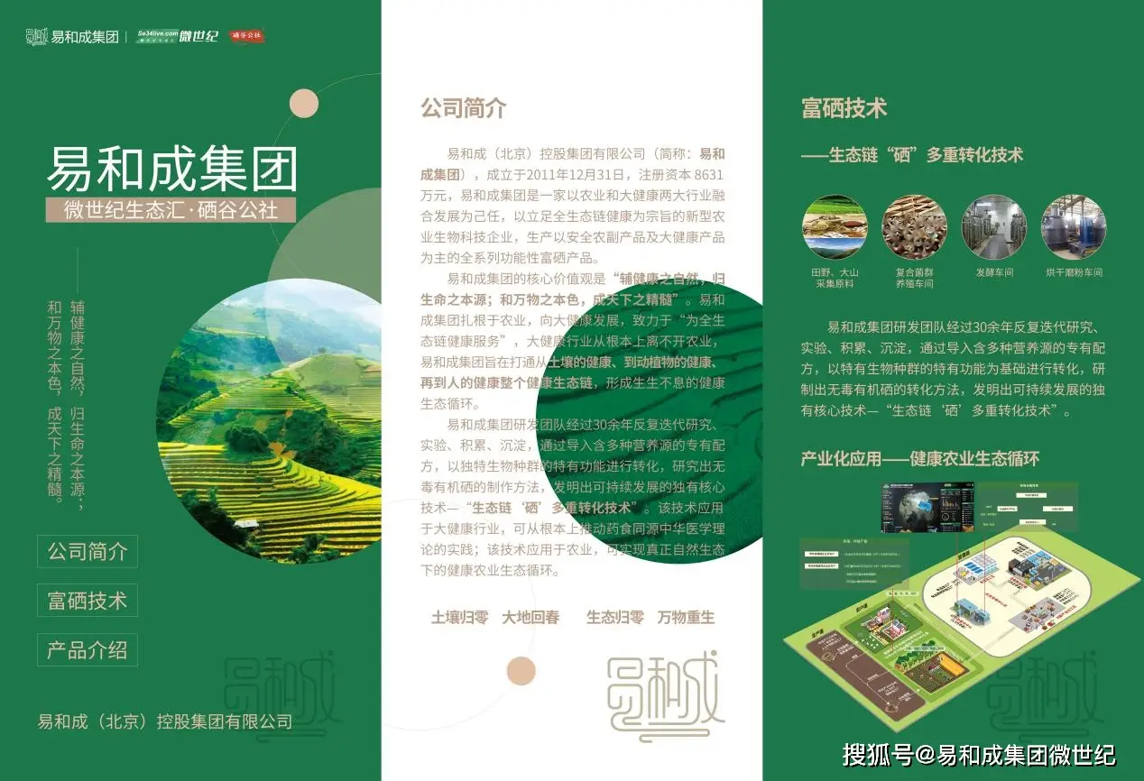 儋州富硒地瓜种植