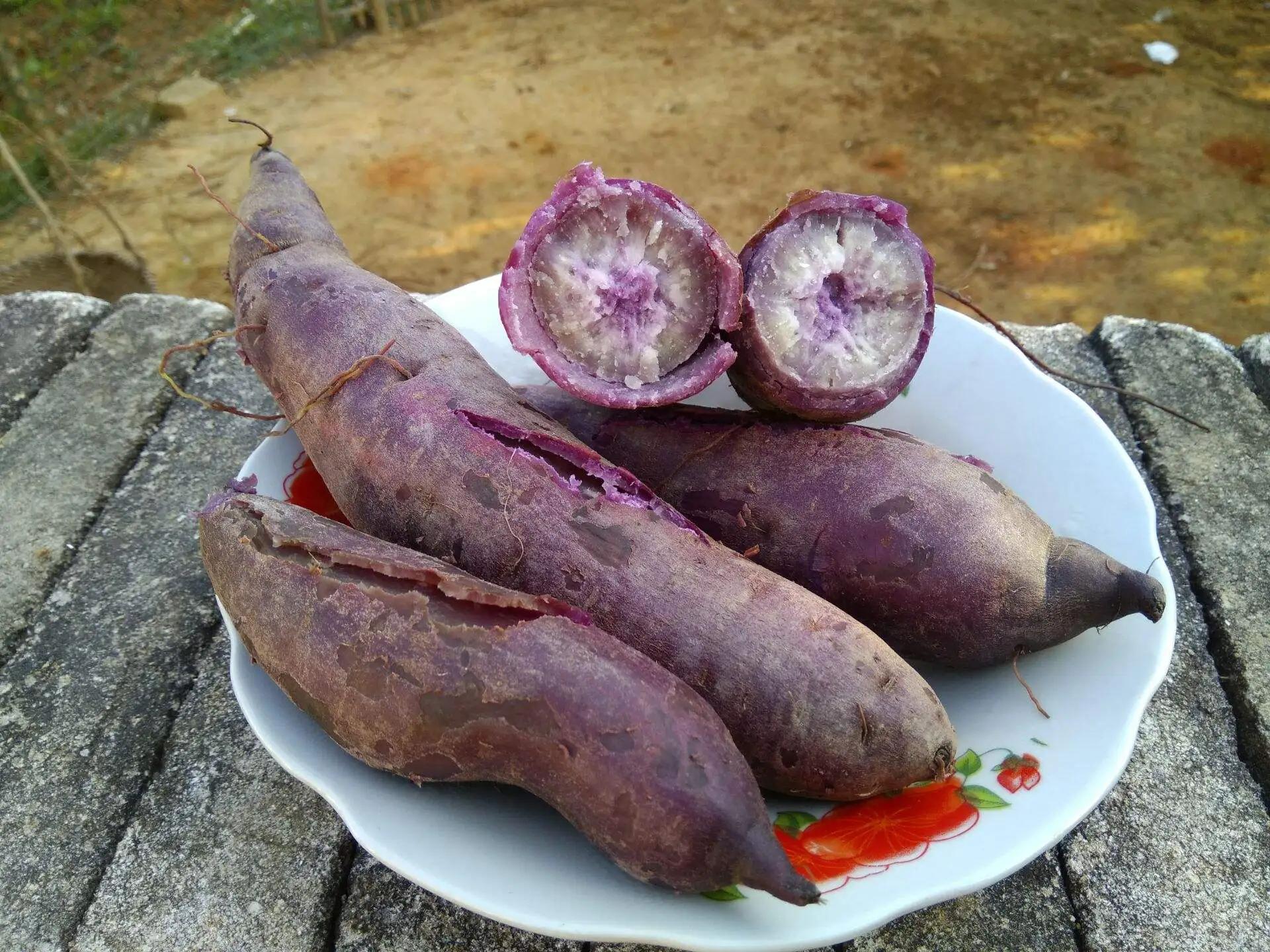 富硒地瓜什么颜色