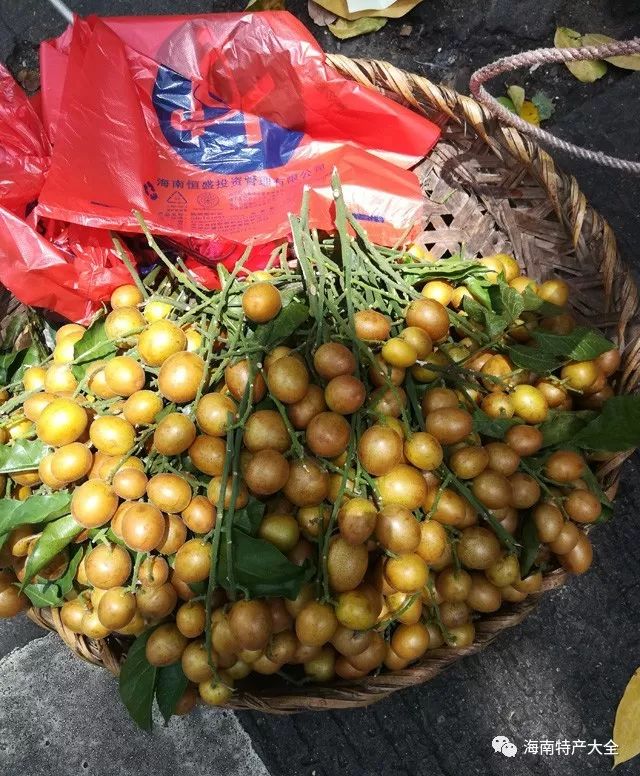 海南富硒地瓜介绍