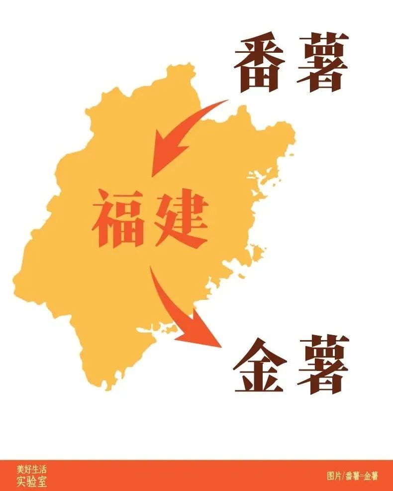 富硒地瓜做地瓜干